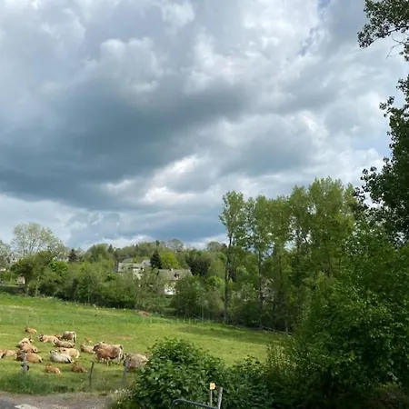 Au Coeur De L Aubrac Lejlighed Laguiole